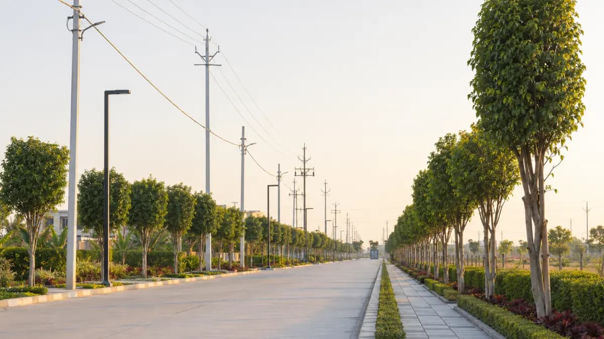 Tree-lined planned township road with street lights and utility infrastructure